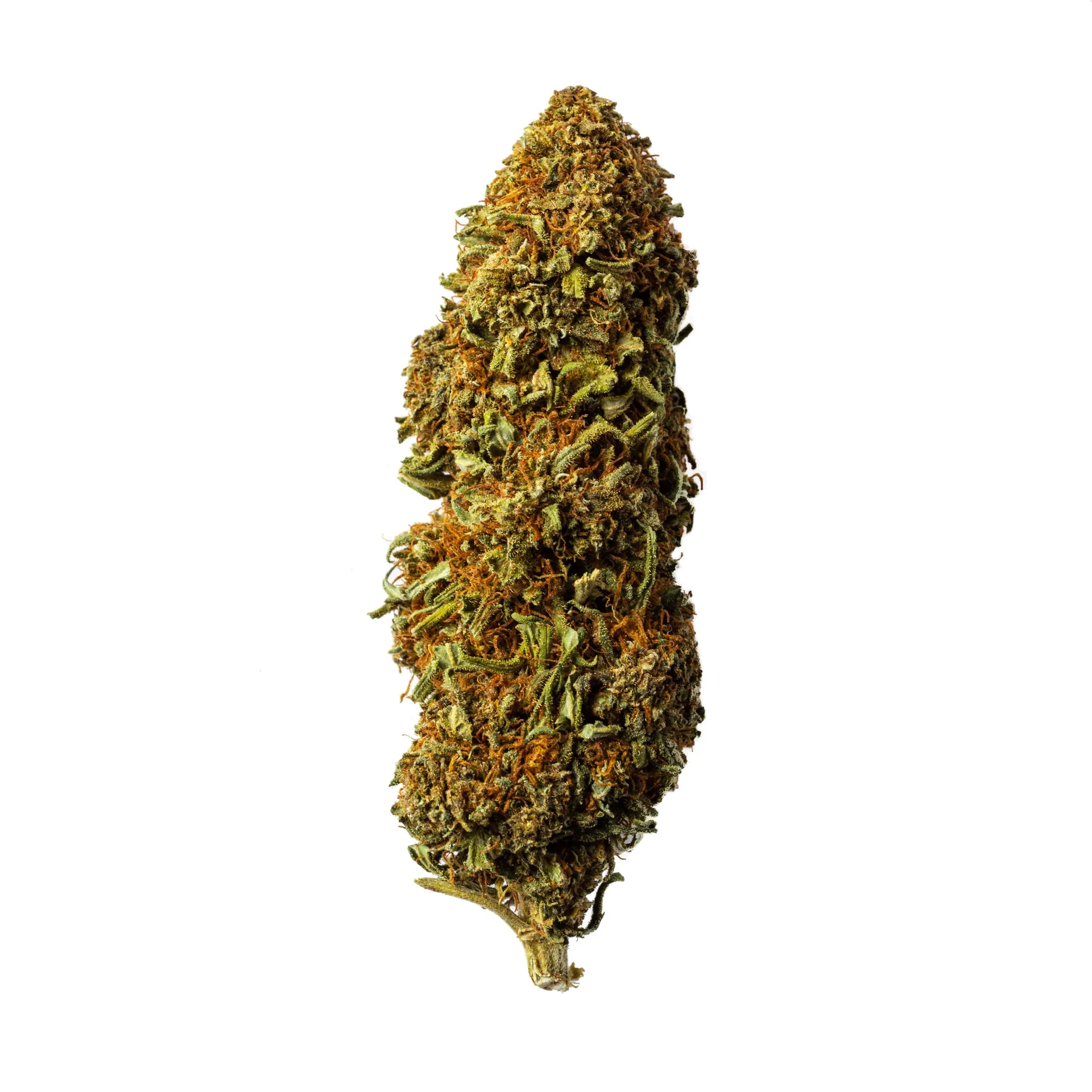 Image of FlorLaCordobesaCBG